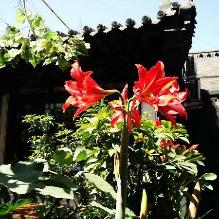 Pingyao Tian Yi Hostel 외부 사진